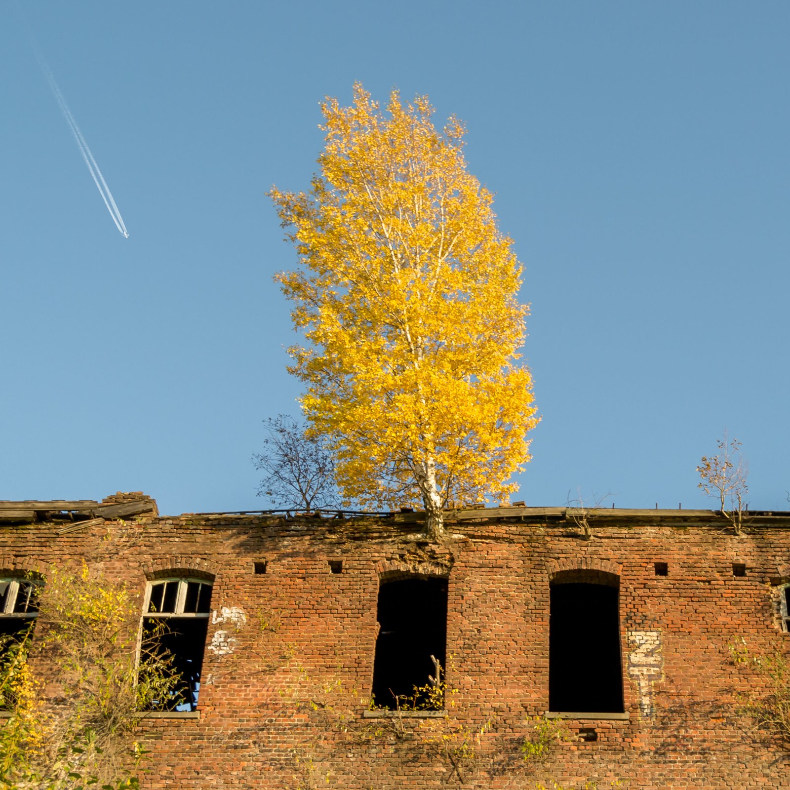 chartreuse urbex urban exploring abandoned decay belgium photography