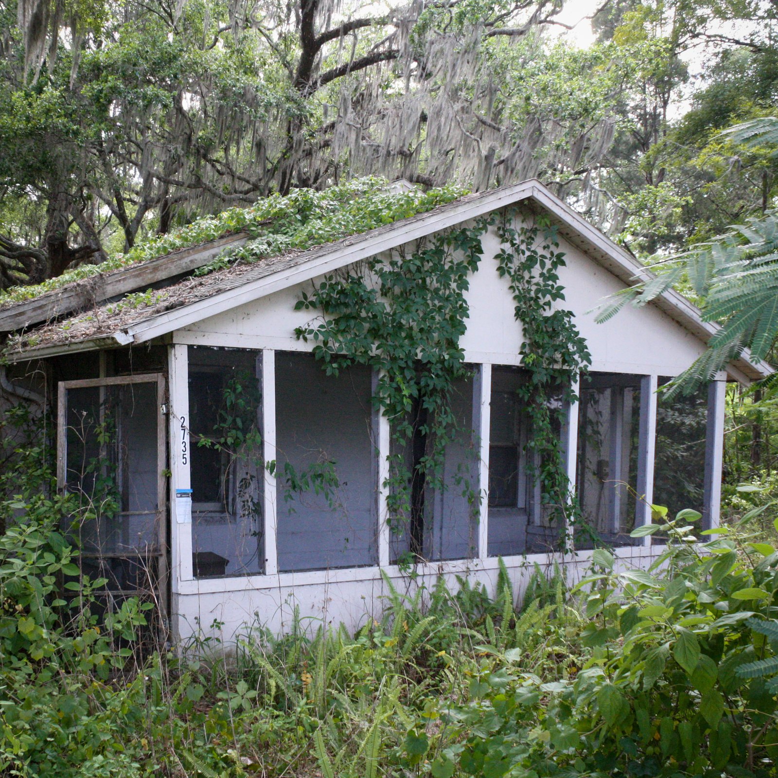 urbex old empty abandoned house Bushnell Florida